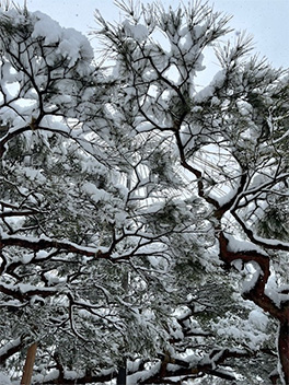 記事サムネイル画像