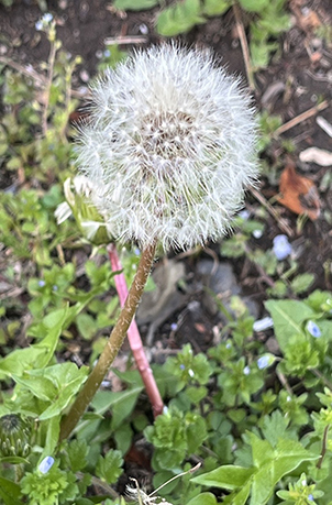 記事サムネイル画像