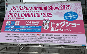 記事サムネイル画像