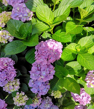 記事サムネイル画像