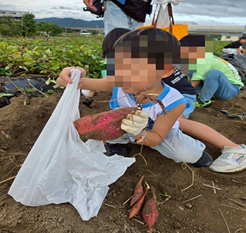 記事サムネイル画像