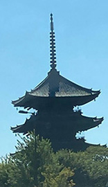記事サムネイル画像