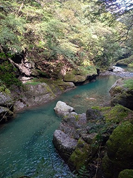 記事サムネイル画像