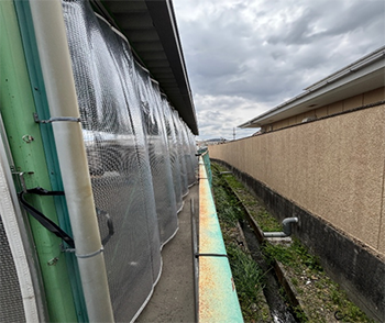 記事サムネイル画像