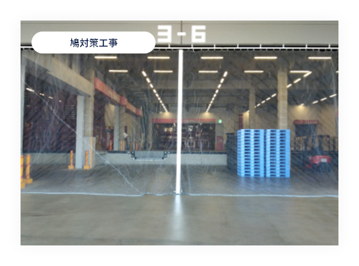 鳩対策工事